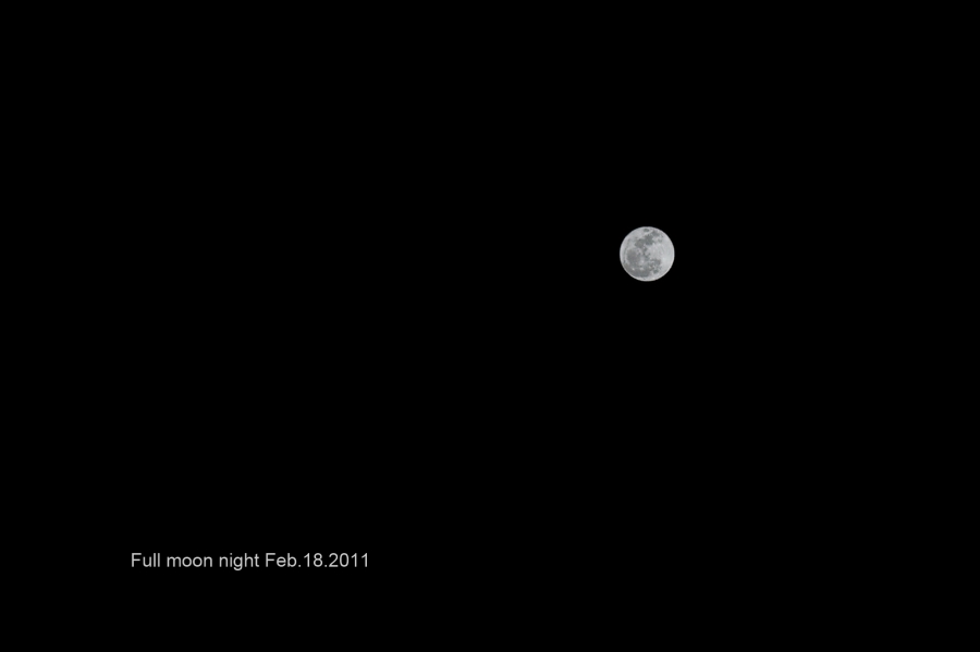 a0185693_1572073.jpg