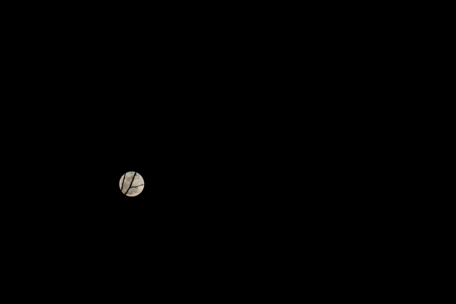 a0185693_1594261.jpg