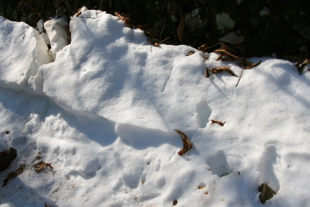 d0133693_7333553.jpg