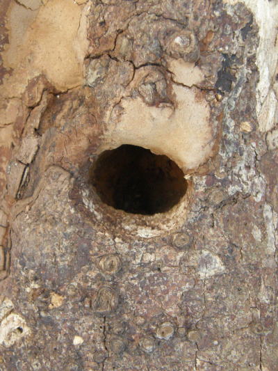 e0017396_2315325.jpg