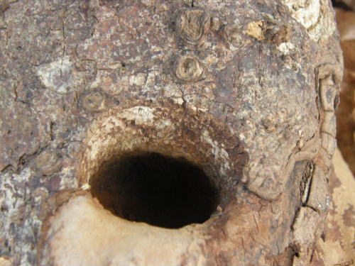 e0017396_2321179.jpg