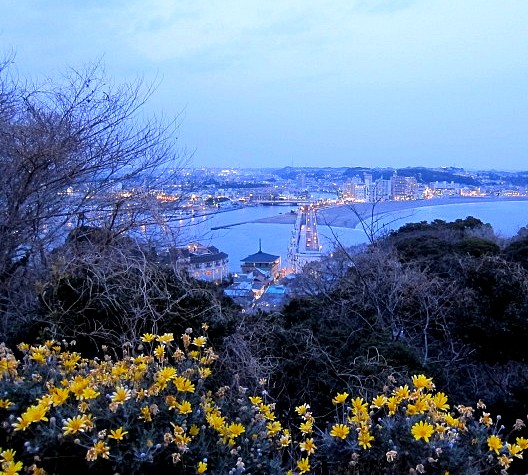 b0145398_2055399.jpg
