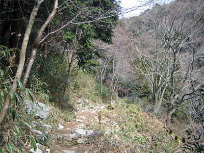 b0108100_2271772.jpg