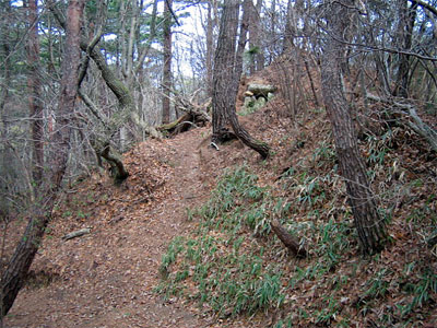 b0108100_2295037.jpg