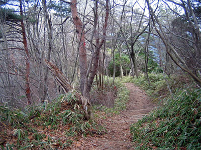 b0108100_229721.jpg
