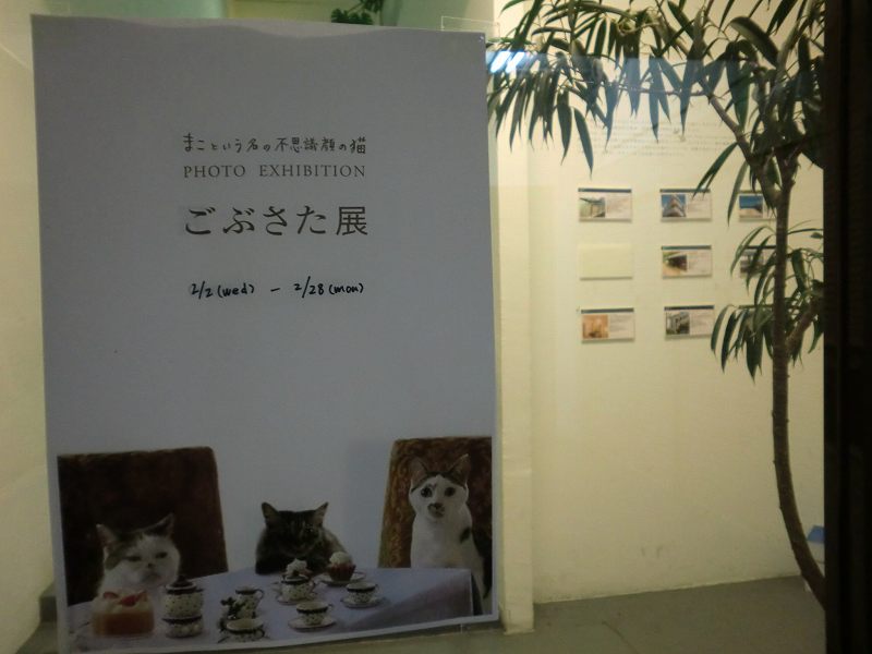 c0187403_1558125.jpg
