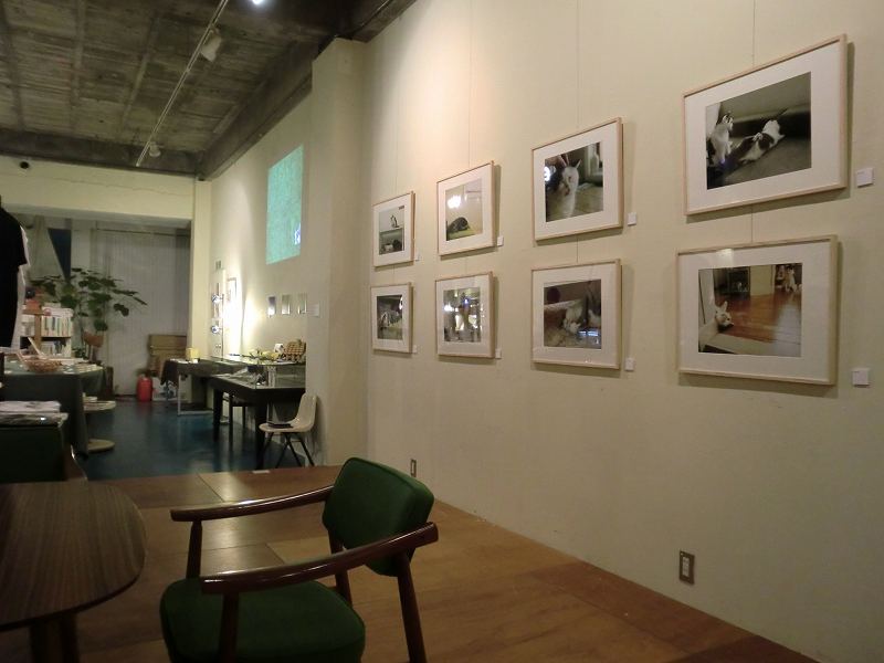 c0187403_16145438.jpg