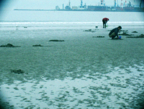 d0077603_1171774.jpg