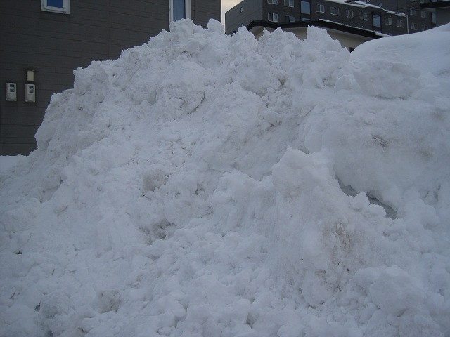 f0202703_1384736.jpg