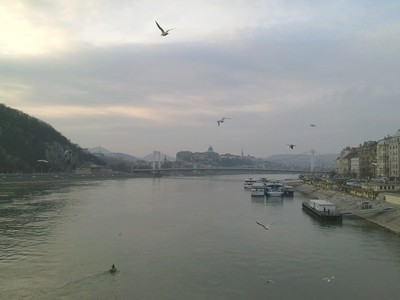 f0021504_2264948.jpg
