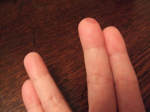 e0147206_1325950.jpg
