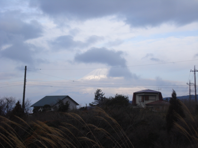e0015108_918821.jpg