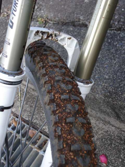 e0015108_92831100.jpg
