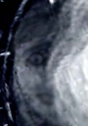 e0103408_17195825.jpg