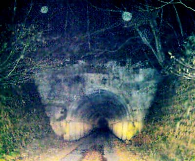 e0103408_17354933.jpg
