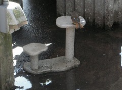 c0190010_20114519.jpg