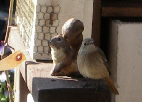 c0190010_20263517.jpg