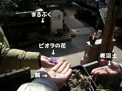 c0190010_2027393.jpg