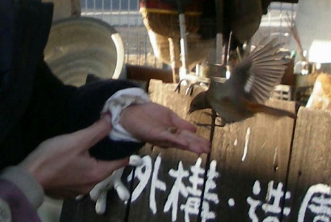 c0190010_2031344.jpg