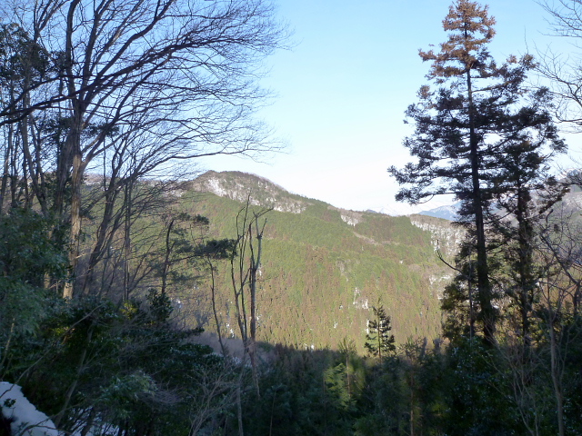 d0170615_17501.jpg