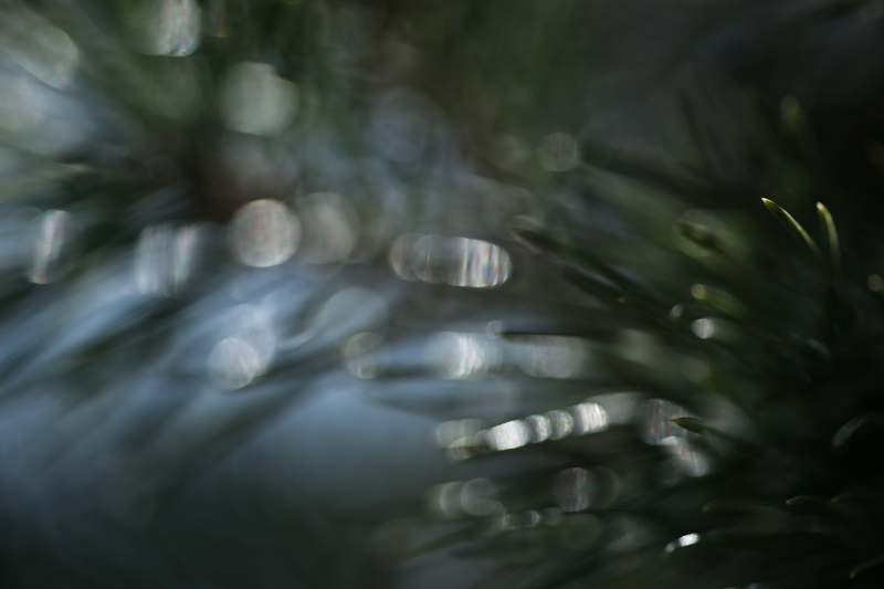 c0216331_22355871.jpg