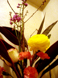 e0224632_11257.jpg