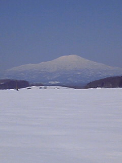 f0118332_1241551.jpg