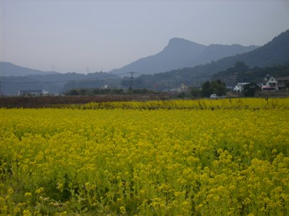 c0077338_6125736.jpg