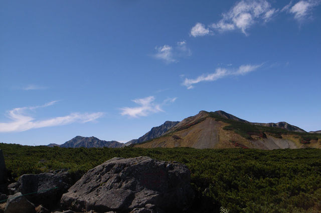 a0130641_196038.jpg