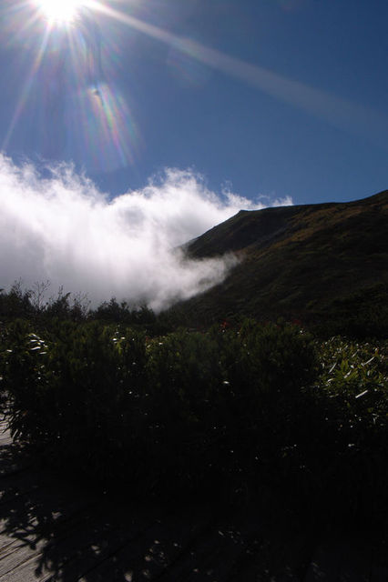 a0130641_197783.jpg
