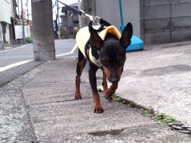 e0150843_003847.jpg