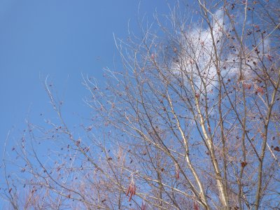 b0132950_21455274.jpg