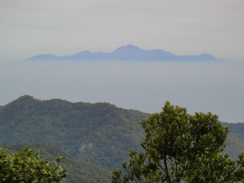 c0179351_8435272.jpg