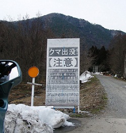 e0044657_1353735.jpg