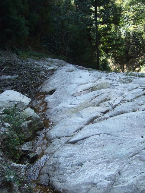 b0095061_17101438.jpg