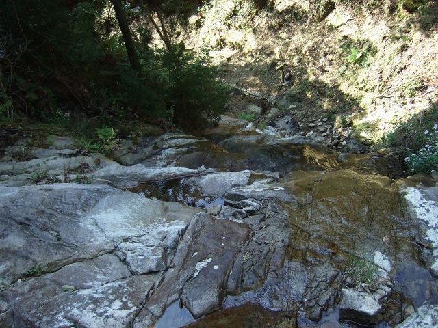 b0095061_1773180.jpg