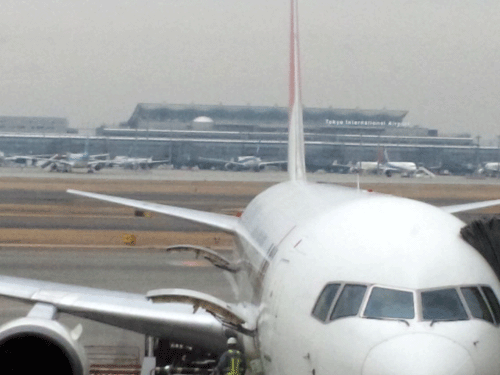 b0101263_1620455.gif