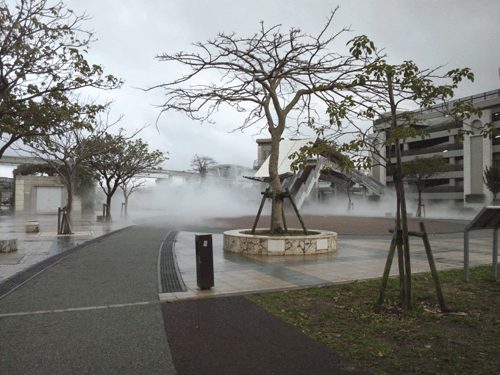b0101263_16225469.gif