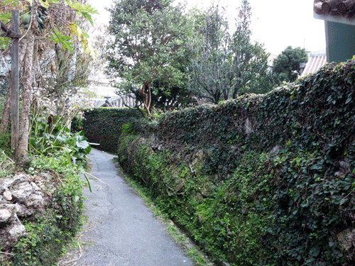 b0101263_16365673.gif