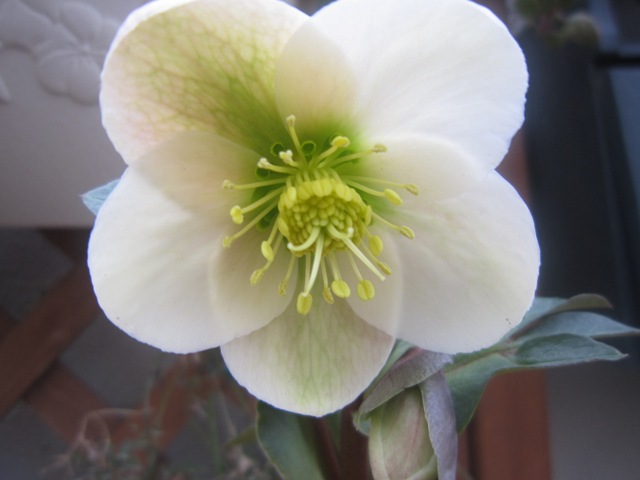 c0202870_849767.jpg