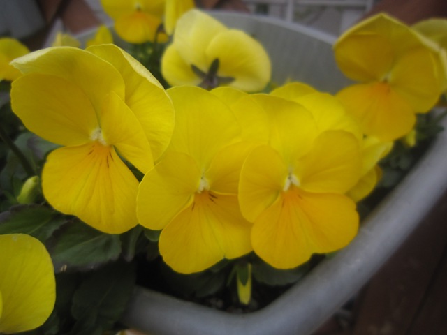 c0202870_8511349.jpg