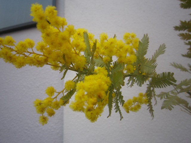 c0202870_851407.jpg