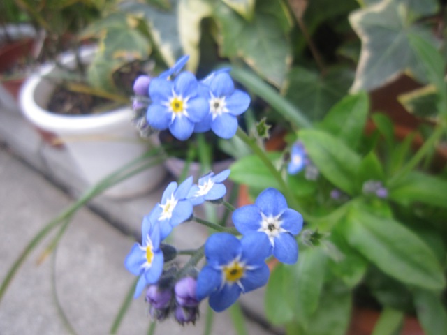 c0202870_8554853.jpg