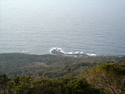 e0097770_0332369.jpg