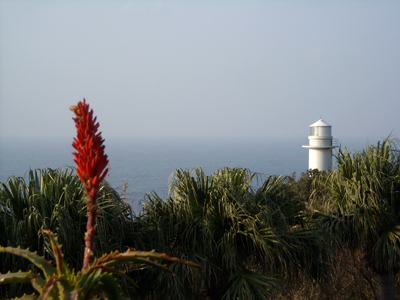 e0097770_0344836.jpg