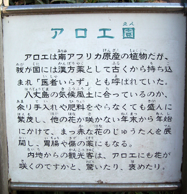 e0097770_0352561.jpg