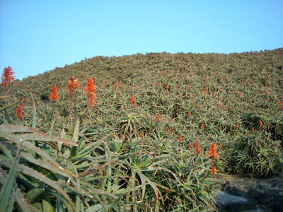 e0097770_035635.jpg