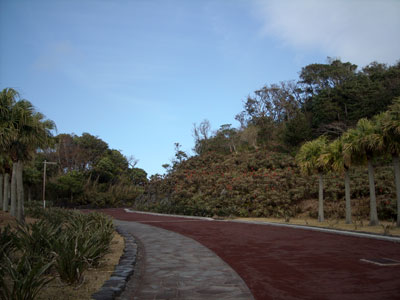 e0097770_1633547.jpg