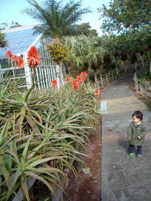 e0097770_16341556.jpg