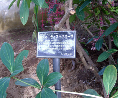 e0097770_16344043.jpg